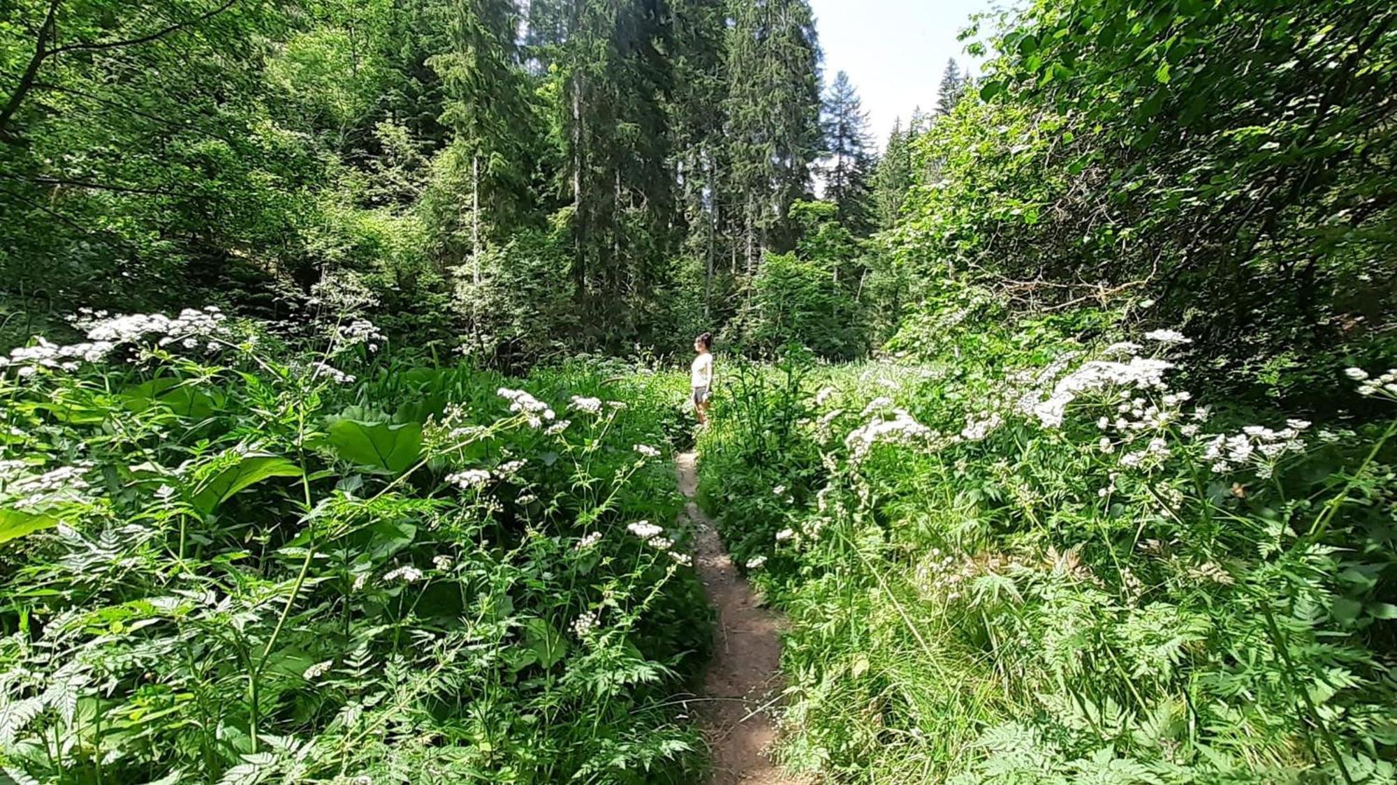 Landhaus Alpenpanorama Löffingen Dış mekan fotoğraf