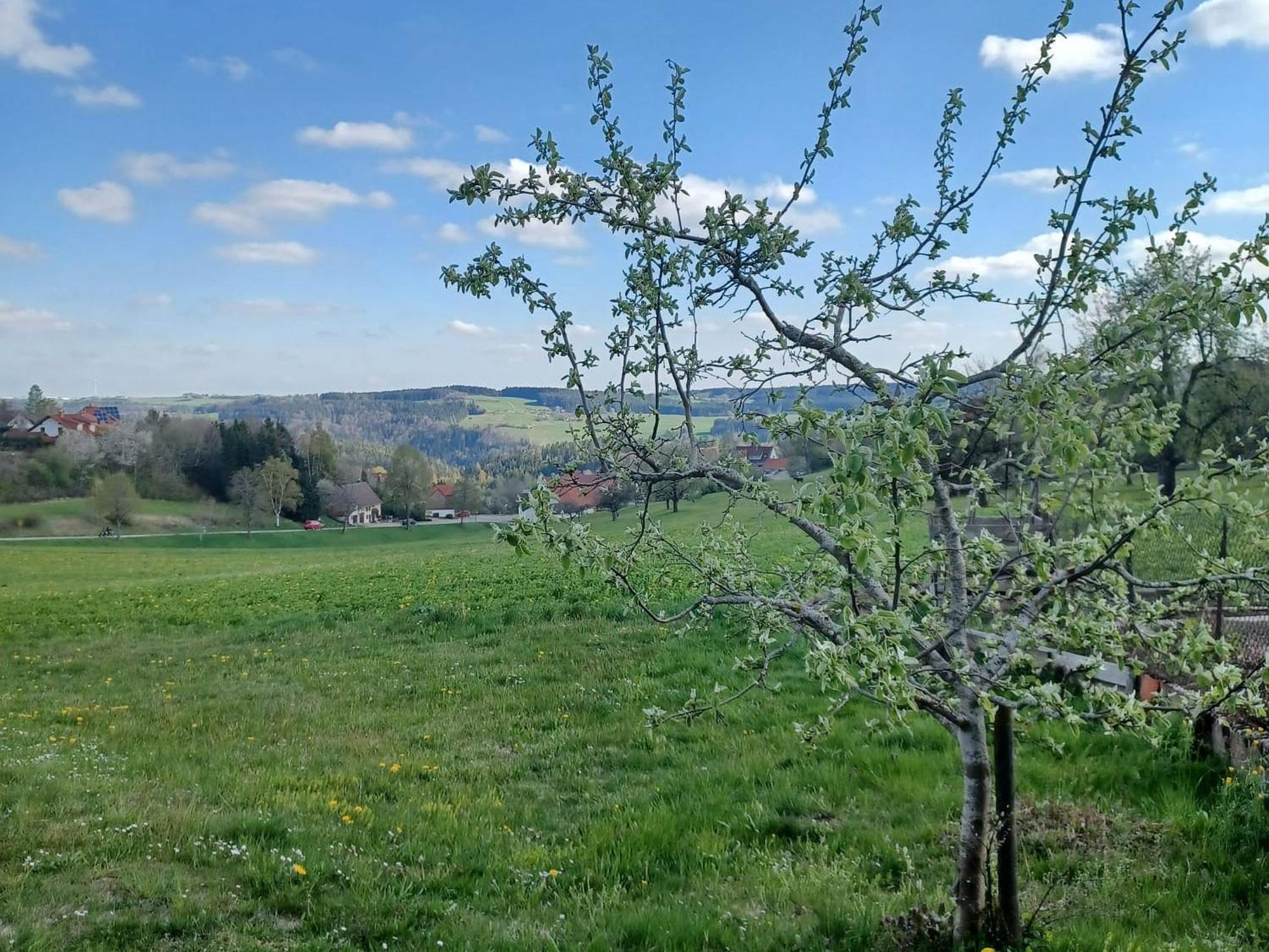 Landhaus Alpenpanorama Löffingen Dış mekan fotoğraf