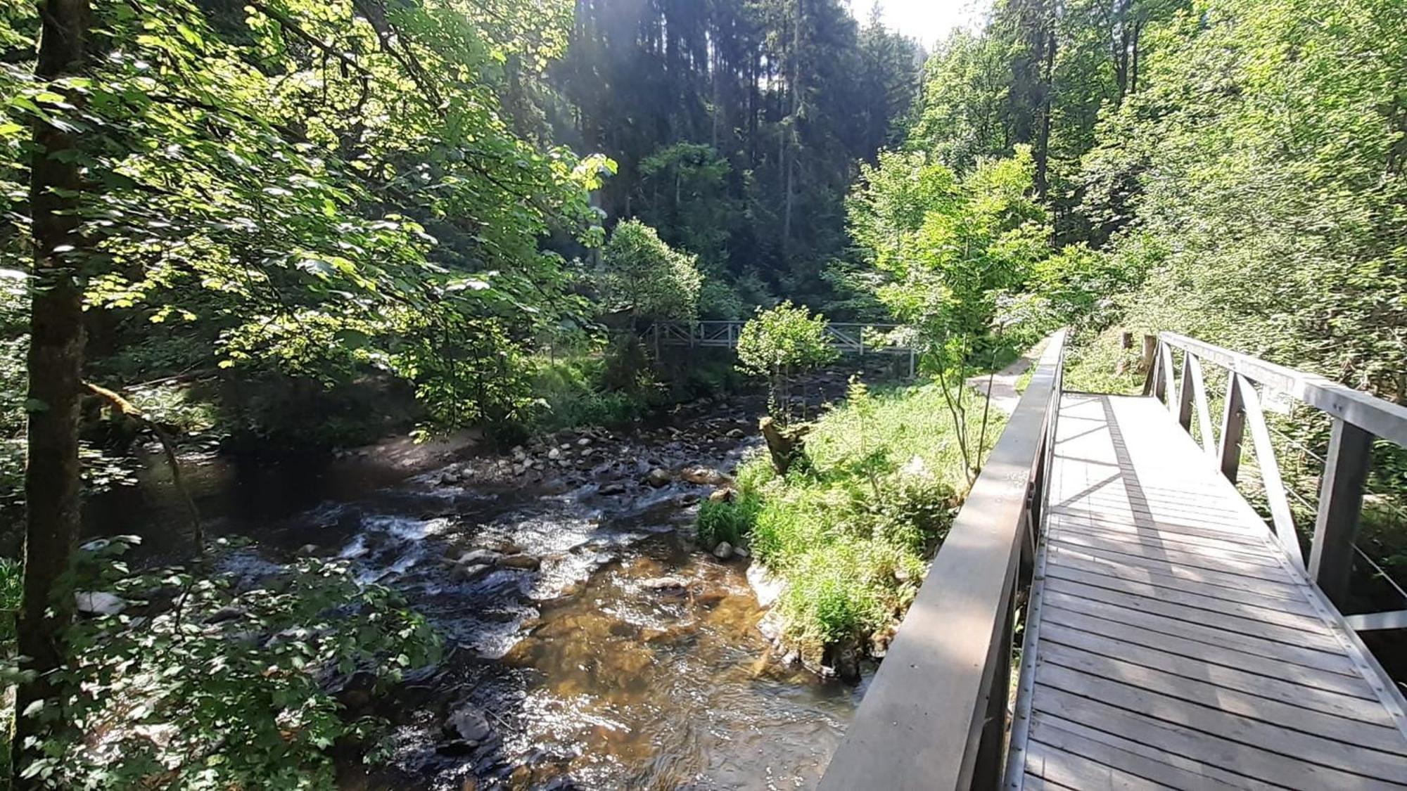 Landhaus Alpenpanorama Löffingen Dış mekan fotoğraf